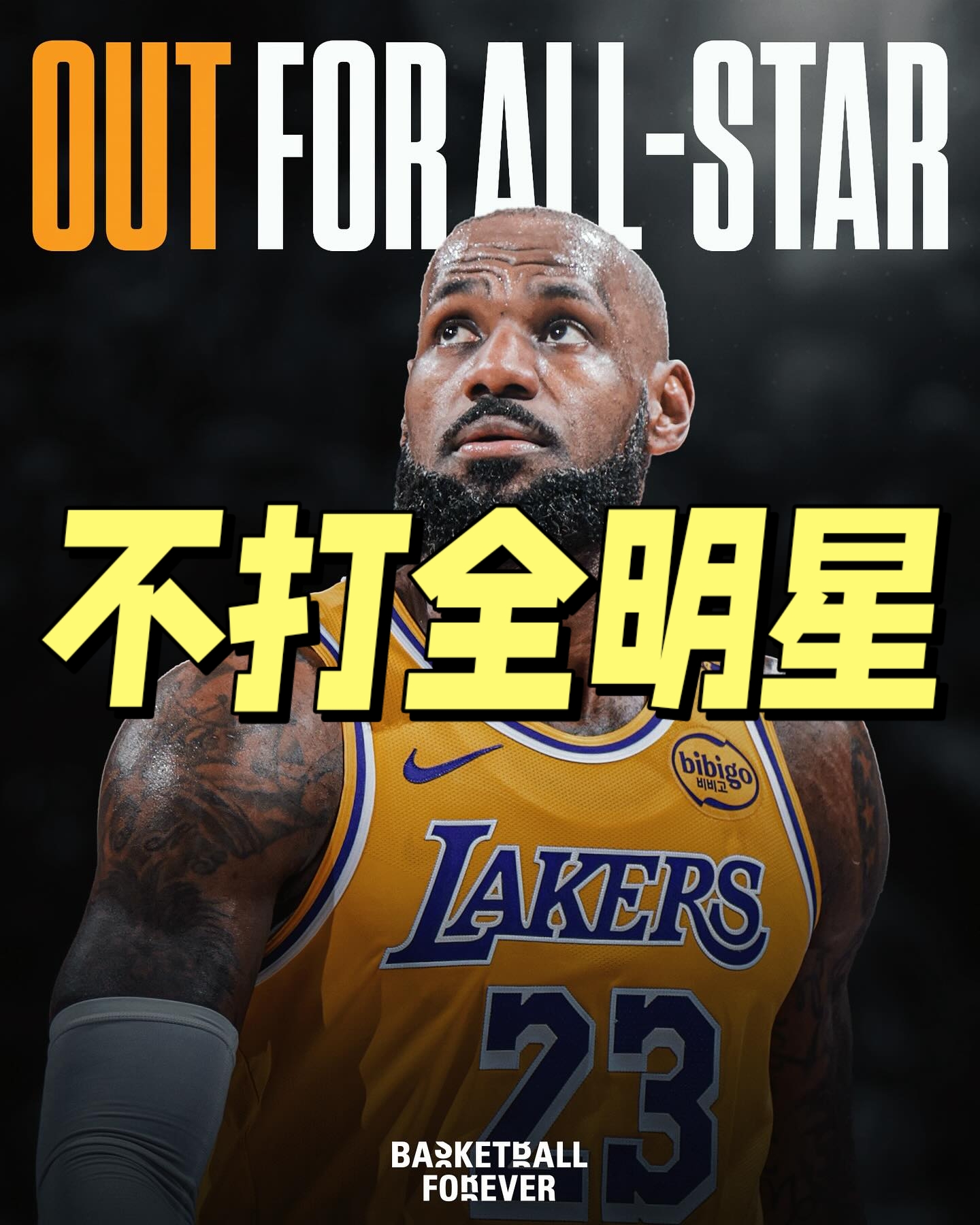 詹姆斯回归赛场，败北首场状态亮眼，老鹰观众沸腾！的简单介绍